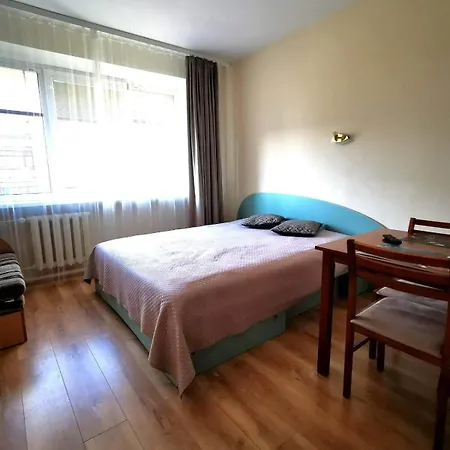 By Daiva Apartment Druskininkai